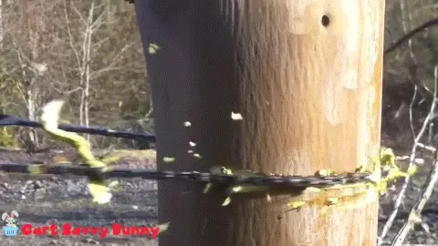 Pocket chainsaw – Žepna žaga 02